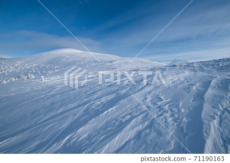Snow covered fir trees on snowy mountain plateau, tops with snow cornices in far. Magnificent sunny day on picturesque beautiful alps ridge. Snow covered fir trees on snowy mountain plateau, tops with snow cornices in far. Magnificent sunny day on picturesque beautiful alps ridge. 71190163
