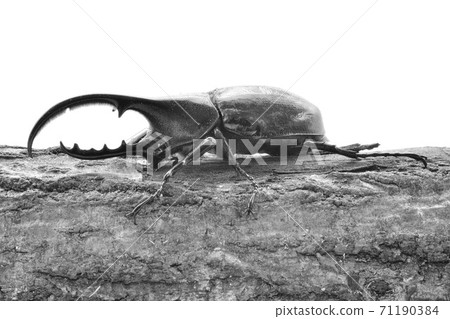 赫拉克勒斯赫拉克勒斯 赫拉克勒斯赫拉克勒斯 71190384