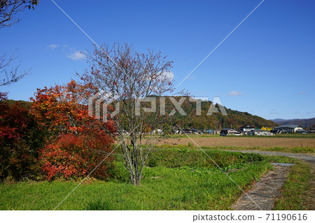 Autumn in Tono Red fruit 71190616