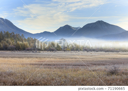The lady of Nikko Odashirogahara wrapped in the morning mist The lady of Nikko Odashirogahara wrapped in the morning mist 71190665
