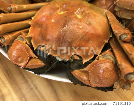 鹽煮上海蟹 照片素材 圖片 圖庫