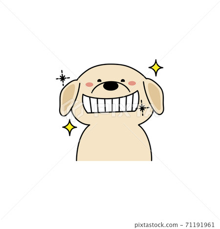 Retriever with glittering teeth Retriever with glittering teeth 71191961