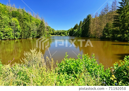 Beautiful nature background with landscape. Pond near the forest in a sunny day in the summer season. 71192058