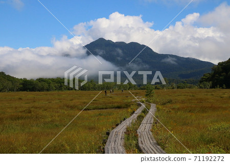 Scenery of Oze Scenery of Oze 71192272