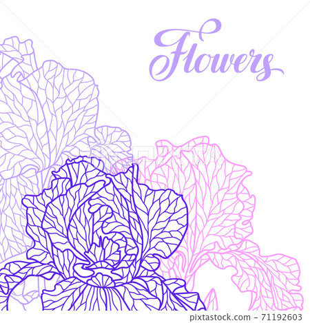 Seamless pattern with violet irises. 71192603