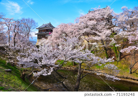Sakura View Ueda Castle Minami Yagura Sakura View Ueda Castle Minami Yagura 71193248