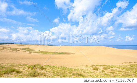 Tottori sand dunes 71193707