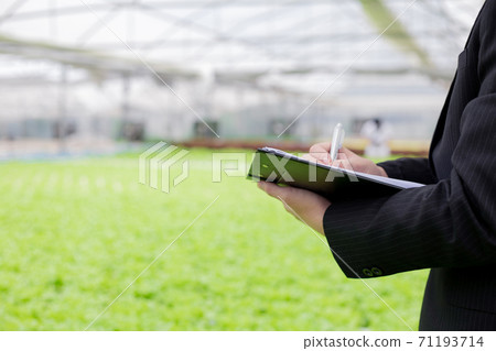 Businessmen examine and record the quality reports of organic vegetables. 71193714