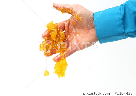 honey comb dripping with human hands on white background 71194433