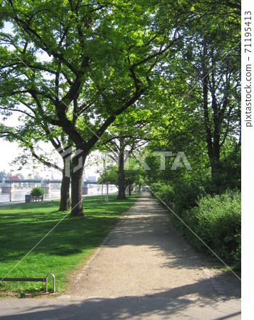 A walk along the river Main A walk along the river Main 71195413