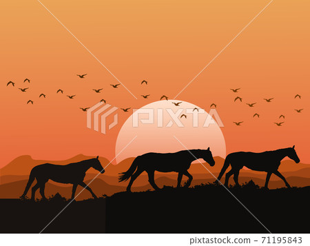 The silhouette of a herd of horses on the hills at sunset has mountains and orange sky as background 71195843