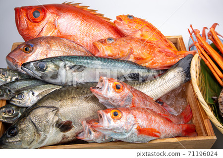 魚拼盤 71196024