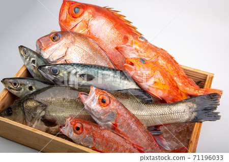 Assorted fish 71196033