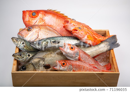 魚拼盤 71196035