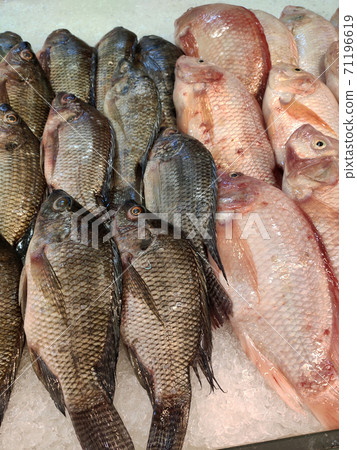 SEREMBAN, MALAYSIA -JANUARY 20, 2020: Various types of fish in the fish market are displayed for sale. Separated according to species and neatly arranged on ice. SEREMBAN, MALAYSIA -JANUARY 20, 2020: Various types of fish in the fish market are displayed for sale. Separated according to species and neatly arranged on ice. 71196619