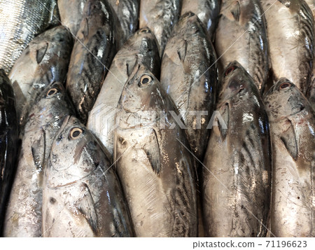 SEREMBAN, MALAYSIA -JANUARY 20, 2020: Various types of fish in the fish market are displayed for sale. Separated according to species and neatly arranged on ice. SEREMBAN, MALAYSIA -JANUARY 20, 2020: Various types of fish in the fish market are displayed for sale. Separated according to species and neatly arranged on ice. 71196623
