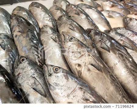 SEREMBAN, MALAYSIA -JANUARY 20, 2020: Various types of fish in the fish market are displayed for sale. Separated according to species and neatly arranged on ice. SEREMBAN, MALAYSIA -JANUARY 20, 2020: Various types of fish in the fish market are displayed for sale. Separated according to species and neatly arranged on ice. 71196624