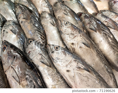 SEREMBAN, MALAYSIA -JANUARY 20, 2020: Various types of fish in the fish market are displayed for sale. Separated according to species and neatly arranged on ice. 71196626