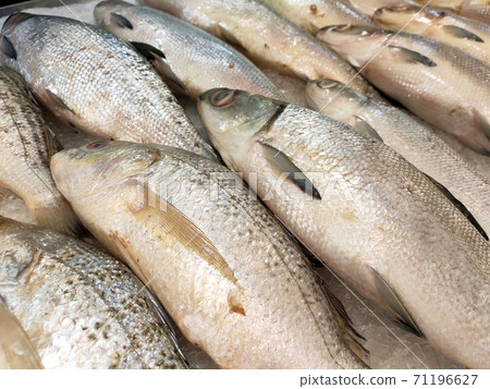 SEREMBAN, MALAYSIA -JANUARY 20, 2020: Various types of fish in the fish market are displayed for sale. Separated according to species and neatly arranged on ice. SEREMBAN, MALAYSIA -JANUARY 20, 2020: Various types of fish in the fish market are displayed for sale. Separated according to species and neatly arranged on ice. 71196627