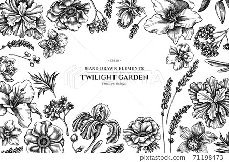 Floral design with black and white anemone, lavender, rosemary everlasting, phalaenopsis, lily, iris Floral design with black and white anemone, lavender, rosemary everlasting, phalaenopsis, lily, iris 71198473