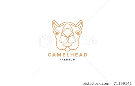 Camel head face line art outline unique logo vector  illustration design 71199141