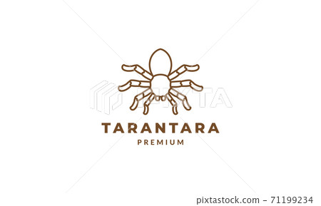 spider minimalist line art outline logo vector icon illustration design spider minimalist line art outline logo vector icon illustration design 71199234