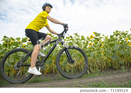 girl cyclist rides a field with sunflowers on a bicycle. Healthy lifestyle and sport. girl cyclist rides a field with sunflowers on a bicycle. Healthy lifestyle and sport. 71199324