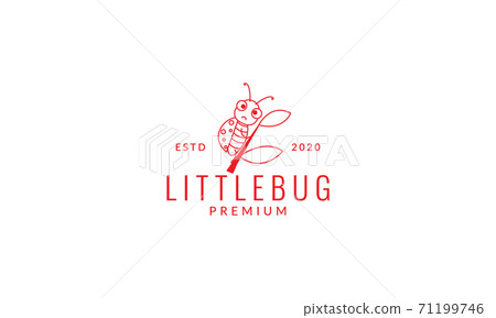 animal insect bug line cute cartoon logo vector icon illustration design animal insect bug line cute cartoon logo vector icon illustration design 71199746
