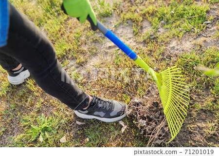 Spring cleaning in the garden, closeup rake cleaning green grass Spring cleaning in the garden, closeup rake cleaning green grass 71201019