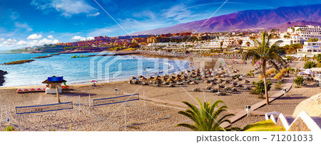 Tenerife, Canary Islands, Spain Tenerife, Canary Islands, Spain 71201033