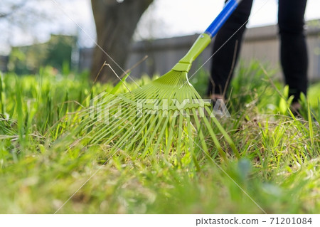 Spring cleaning in the garden, closeup rake cleaning green grass Spring cleaning in the garden, closeup rake cleaning green grass 71201084