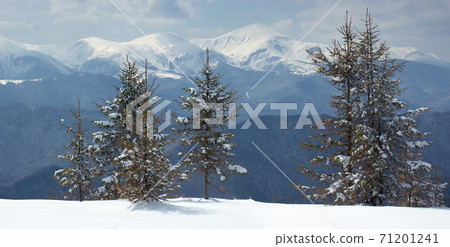 Winter landscape Winter landscape 71201241