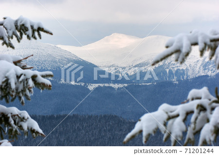 Winter landscape Winter landscape 71201244