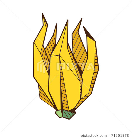 Colored hand drawind geometrical flower bud, Ylang-Ilang bud line art Colored hand drawind geometrical flower bud, Ylang-Ilang bud line art 71201578