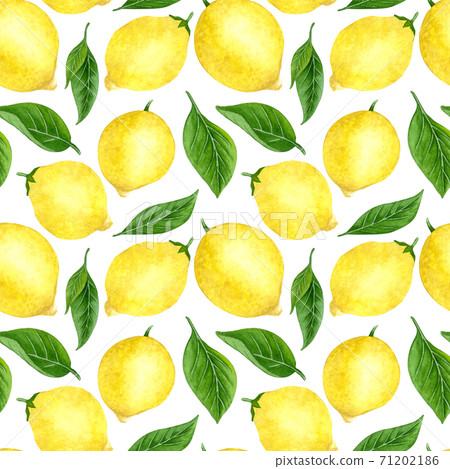 Watercolor lemon seamless patten. Hand drawn lemon tree fruits, leaves. 71202186