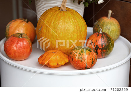 Autumn still life at the entrance to the house, pumpkins of different sizes, close-up. 71202269