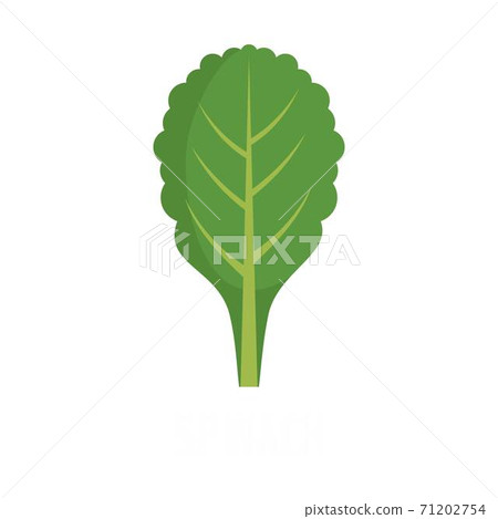 Spinach icon, flat style. Spinach icon, flat style. 71202754