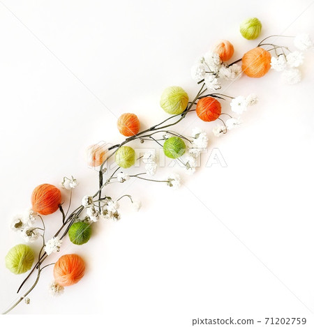 Multicolored yarn balls for on white branch. Multicolored yarn balls for on white branch. 71202759