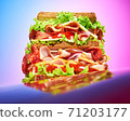 Huge tall sandwich with meat on colored background 71203177