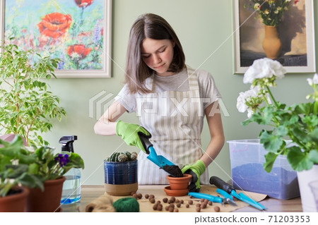 Teen girl plants small cactus in pot. Hobbies and leisure, home gardening, houseplant Teen girl plants small cactus in pot. Hobbies and leisure, home gardening, houseplant 71203353