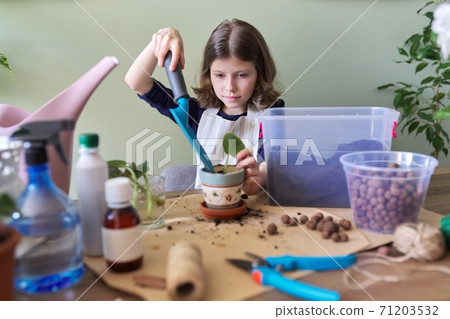 Girl child plants leaf of saintpaulia young plant in pot 71203532