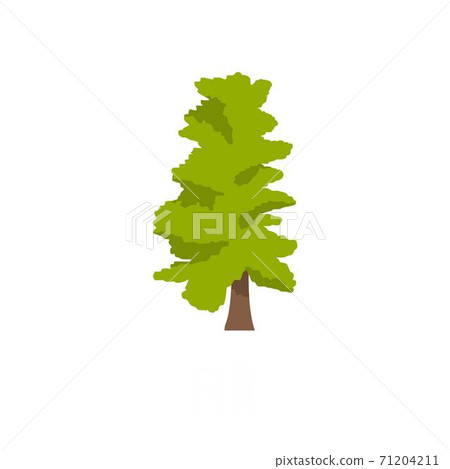 Fir tree icon, flat style 71204211