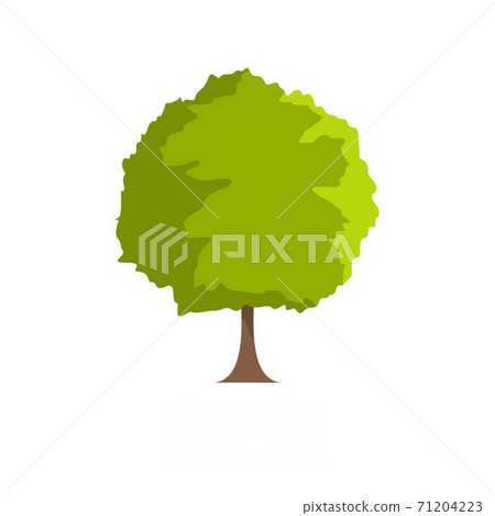 Beech tree icon, flat style Beech tree icon, flat style 71204223
