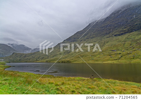 View of Loch Long - Scotland - Travel Destination View of Loch Long - Scotland - Travel Destination 71204565
