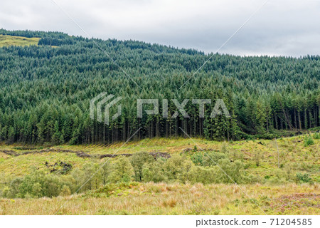 Loch Tulla Viewpoint - Scotland - United Kingdom Loch Tulla Viewpoint - Scotland - United Kingdom 71204585
