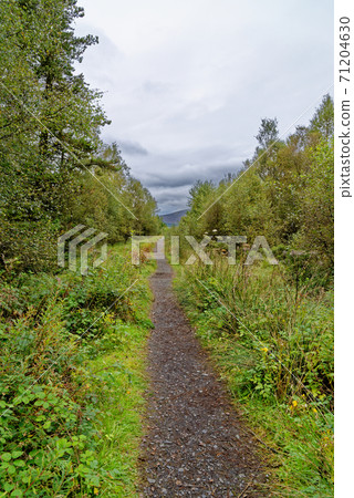 Relaxing picnic area at Loch Linnhe - west coast Scotland Relaxing picnic area at Loch Linnhe - west coast Scotland 71204630