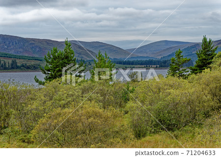 Relaxing picnic area at Loch Linnhe - west coast Scotland Relaxing picnic area at Loch Linnhe - west coast Scotland 71204633