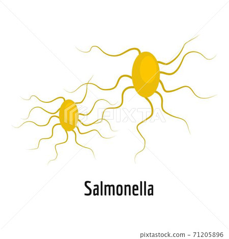 Salmonella icon, cartoon style. - Stock Illustration [71205896] - PIXTA