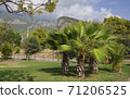Green palms against a background of mountains and white clouds. Beldebi city. Turkey. 71206525