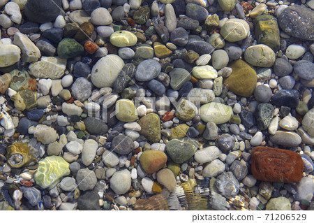 Marine multicolored pebbles in the mediterranean sea. Marine multicolored pebbles in the mediterranean sea. 71206529